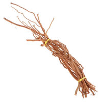 Spiderwood Bund, 20 - 30 cm