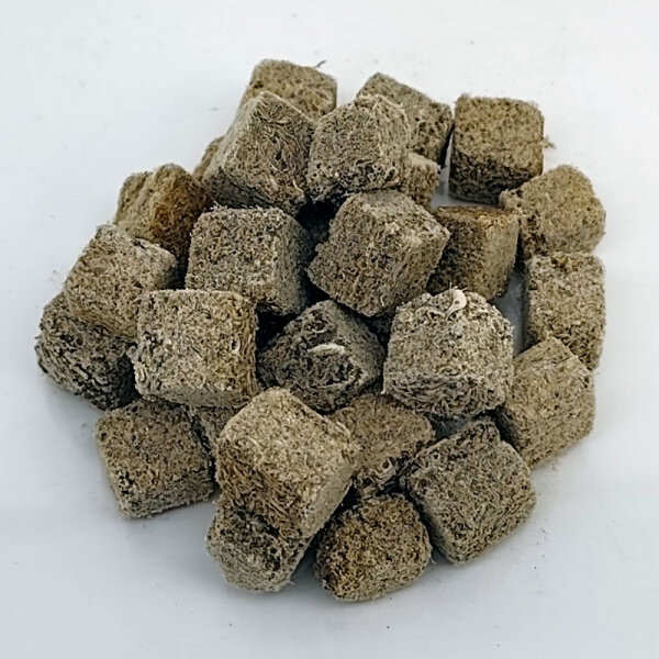 Tubifex Würfel getrocknet