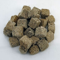 Tubifex Würfel getrocknet
