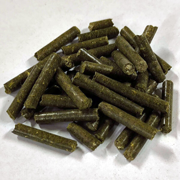 NEU! Ackerschachtelhalm Sticks